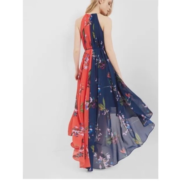 Ted Baker Dresses Ted Baker Hanie Floral Pleated Maxi Dress With